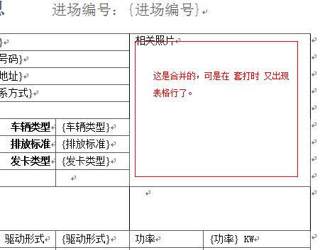 [求助]RTF套打表格出问题求原因!
